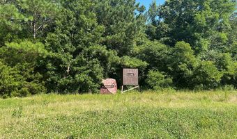 Reeves Road, Ashland, MS 38603