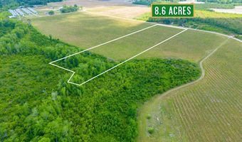 TRACT 9 Sellers Road NW, Baxley, GA 31513