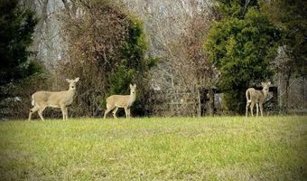 3295 Dye Ford Rd, Alvaton, KY 42122
