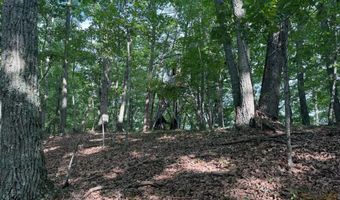 572 Dameron Rd, Ballard, WV 24918