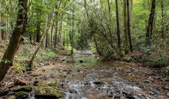 2 9 AC Chestnut Flats Rd, Andrews, NC 28901