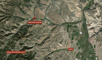 9885 Challis Creek Rd, Challis, ID 83226