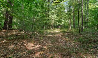 1125 39th St, Allegan, MI 49010