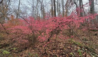 99- C Richmond Hwy, Amherst, VA 24521