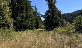 Silver Creek RD 2, Gold Beach, OR 97444