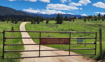 Blacktooth Road lot 12, Big Horn, WY 82833