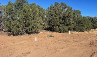 96 CR3041, Concho, AZ 85924