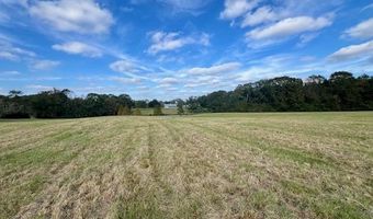 60327 Highway 445, Amite, LA 70422
