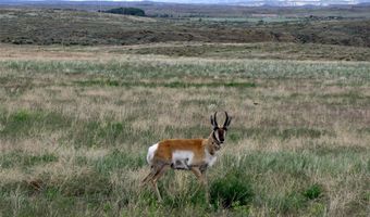 Nhn Brushland Drive, Clark, WY 82435