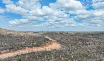 919 County Road 6628, Banks, AL 36005