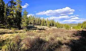 PCS # 7765 & 12057 Rollies Trail lot 0, Alma, CO 80420
