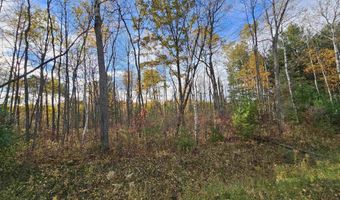 20 Acres Deerhaven, Alger, MI 48610