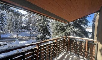 910 W Hallam St 12, Aspen, CO 81611