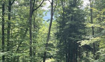Denio Road, Barnet, VT 05821
