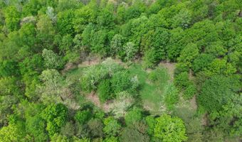 566 A Tunnel Ridge Rd, Argillite, KY 41121