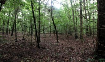 000 AVE 5 SW St, Atkins, AR 72823