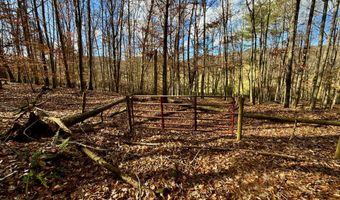 1520 Brittontown Rd, Afton, TN 37616