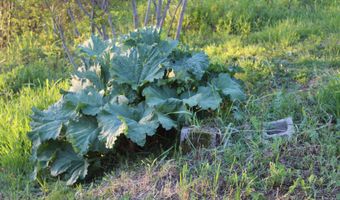 1 E Side Rd, Addison, ME 04606