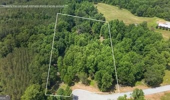 Conns Creek Road 2, Ball Ground, GA 30107