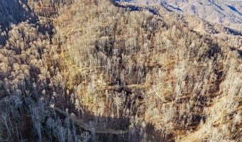 NC 209 Highway, Aurora, NC 28743