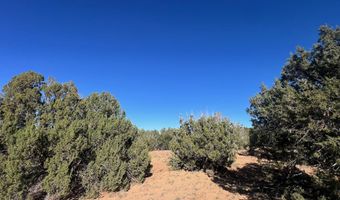 96 CR3041, Concho, AZ 85924