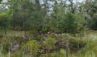 4539 NW Miller/White LN Rd, Altha, FL 32421