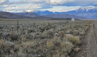 1981 Blizzard Mt Rd, Arco, ID 83213
