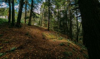 0 Weidick Rd, Andes, NY 13731