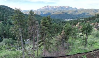 Lot 2 Red Haven Place, Woodland Park, CO 80863