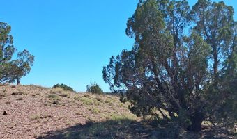 268 N 5383, Concho, AZ 85924