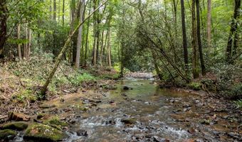 1034 Chestnut Flats Rd, Andrews, NC 28901