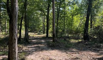 0 Nick Creek Rd, Bernice, LA 71222