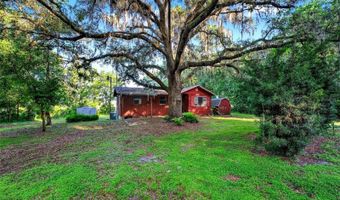 54544 BUCKHORN Rd, Astor, FL 32102