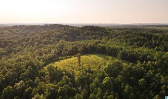 200 TABLEE LANE Lot 17.65, Ashland, AL 36251