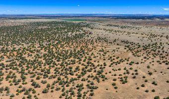 61 Blue Diamond ACR 5525, Concho, AZ 85924