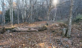 1361 Weaver Hollow Rd, Andes, NY 13731