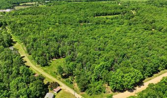 County Road 101, Alton, MO 65606