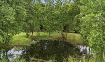 3111 Howland Rd, Almont Twp., MI 48003
