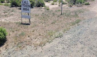 066-070 60 Dry Gulch #066-070-60, Gerlach, NV 89412