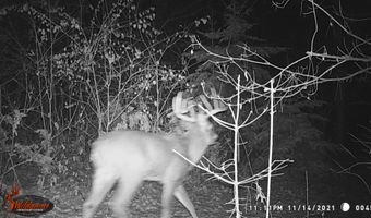 8752 HWY A, Almond, WI 54909