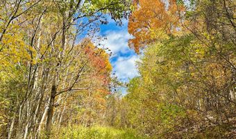 595 Rock Creek Ridge Rd, Bakersville, NC 28705