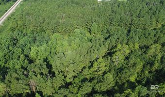 0 Lowery Rd Lot #10, Atmore, AL 36502