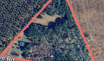 1582 Santee Rd, Andrews, SC 29510