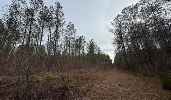 136 Highway 28 S, Abbeville, SC 29620