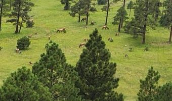 Lot 32 The Ranch at Alpine, Alpine, AZ 85920