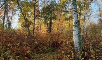 31538 County 23, Akeley, MN 56433