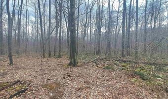 Glade Run Road, Albright, WV 26519