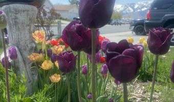 1492 Mary Jo Dr, Gardnerville, NV 89460