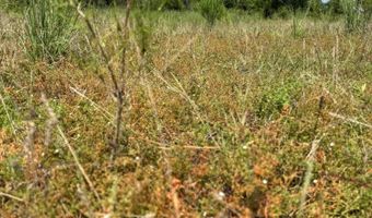 Old Buckhead Road, Bamberg, SC 29003