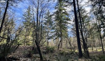 NE SCHAUER Dr, Battle Ground, WA 98604